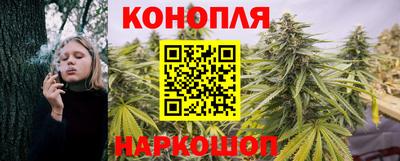 соль ск Моздок