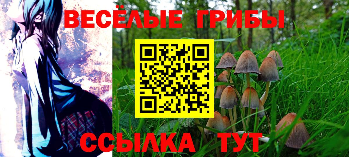 Галлюциногенные грибы GOLDEN TEACHER  Псилоцибиновые грибы MAGIC MUSHROOMS  Чапаевск  Вход с VPN 
