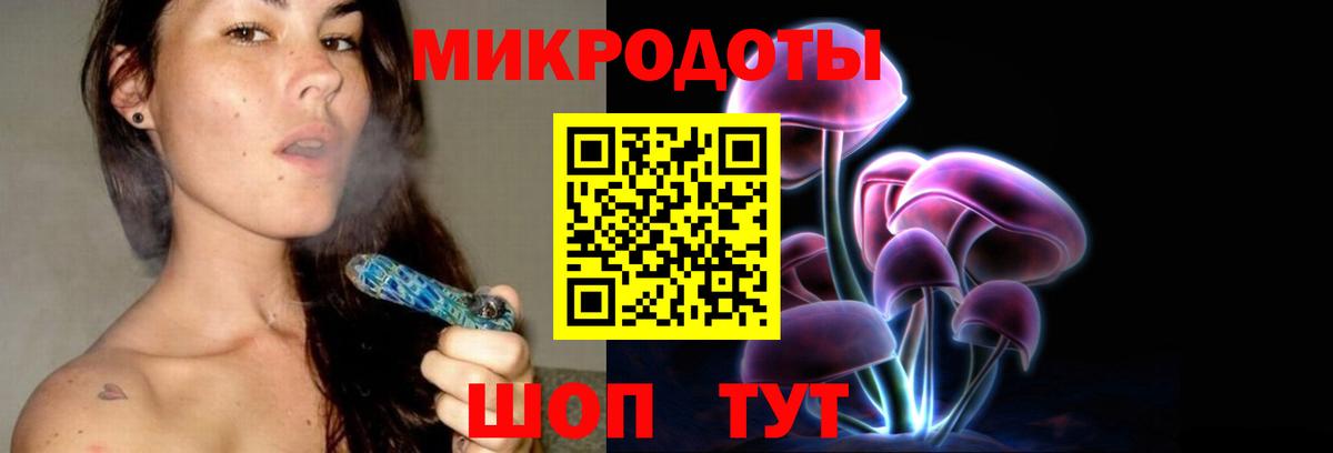 Псилоцибиновые грибы Psilocybe Чапаевск
